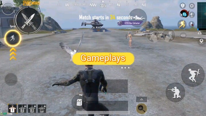 GAMEPLAY