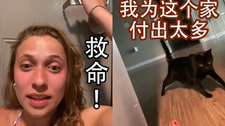 Tim kucing berjasa besar! Keluar rumah tanpa membawa kunci, hanya bisa menggantungkan harapan pada s