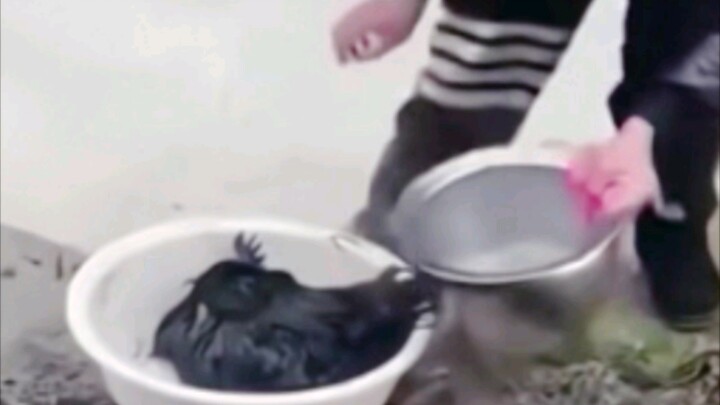 Loại video này tôi thường chỉ xem qua một chút thôi