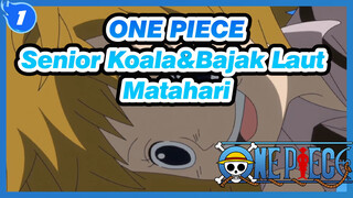 ONE PIECE
Senior Koala&Bajak Laut Matahari_1