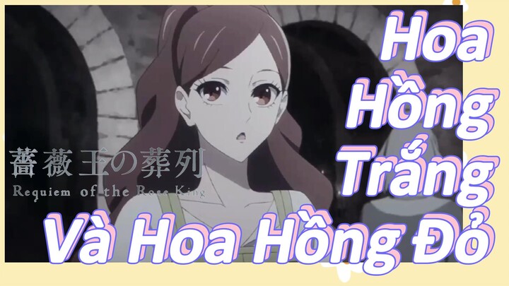 Hoa Hồng Trắng Và Hoa Hồng Đỏ [Lễ Cầu Siêu Của Vua Hoa Hồng]