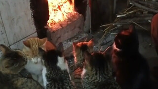 أنت أيضًا جئت، الجو هنا دافئ جدًا