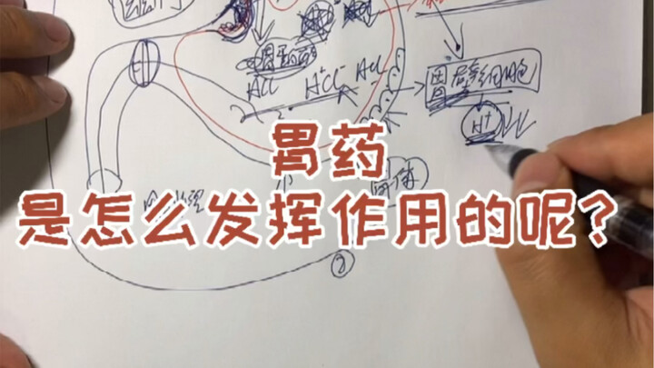 كيف تعمل أدوية المعدة؟