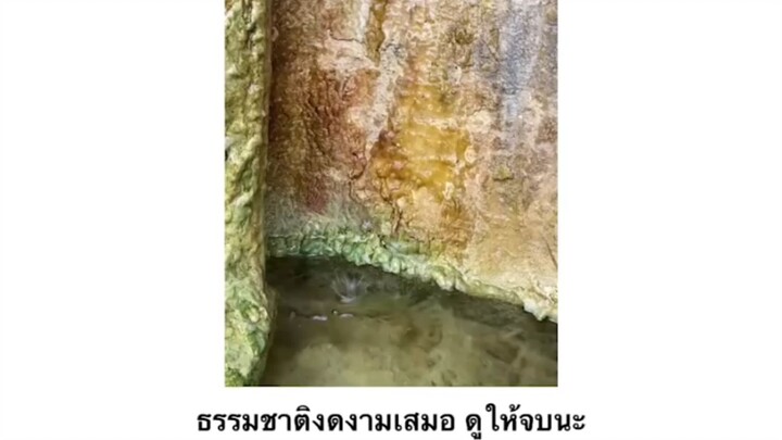 ร้อง หืม เลย5555