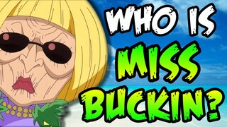 Who Is Miss Buckingham Stussy? - One Piece Discussion | Tekking101
