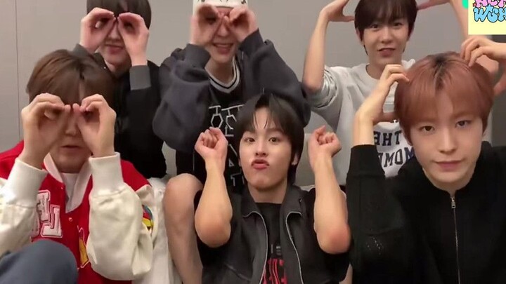 Tôi không ngờ livestream của [NCT WISH] lại hài hước đến thế!