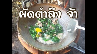 ตำลึง ผัดตำลึงหมูสับใส่ไข่ใช้ เตาฟืน|น้ำมันหมูเจียวเองVegetable gourd