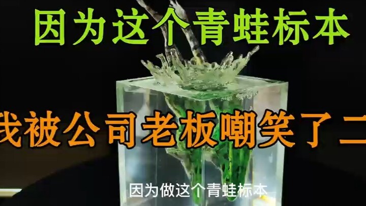 Vì mẫu vật ếch này mà tôi đã bị sếp cười nhạo suốt hai năm.