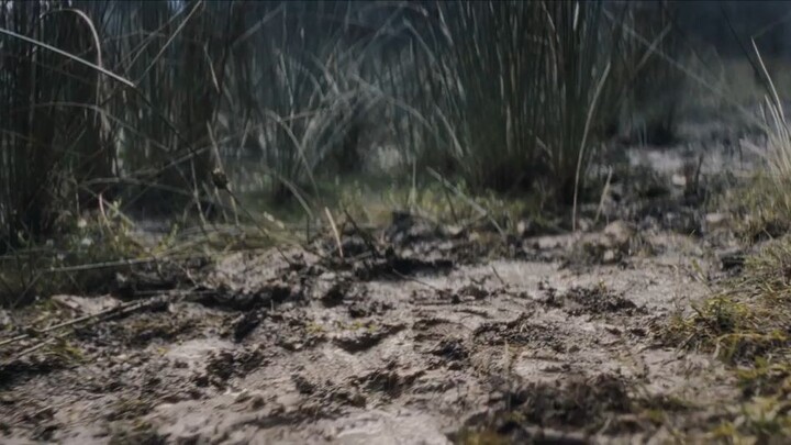 quick sand (2023)