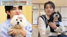【尹净汉】崔红薯全雪儿:这怪哥哥老是逮着我们rua!