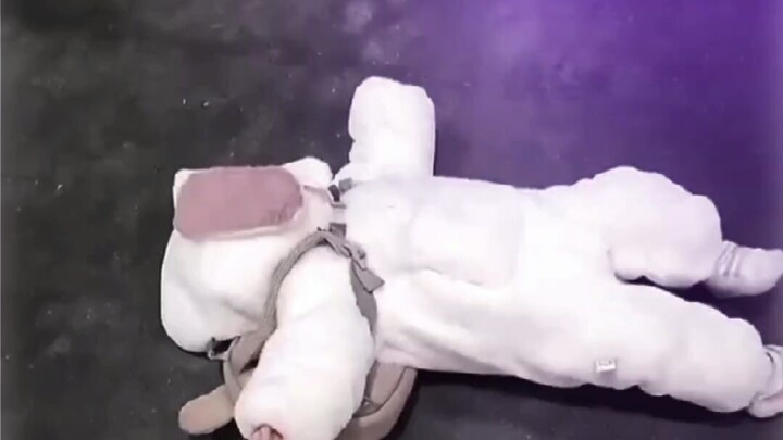 gemoy nya syapa ini ?