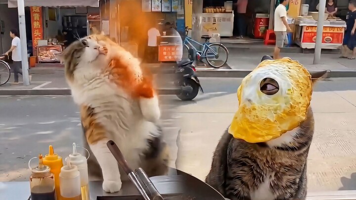 Mas Miao lagi bikin mie goreng, tapi nggak tahan pengen nge-eksplor aksi dulu~