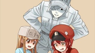 cells at work ❤️🤍💙