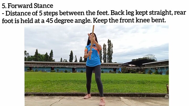 6 basic step of fundamental arnes.