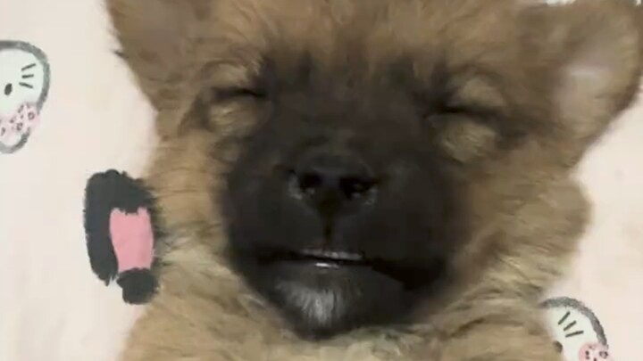 Ini beneran udah tidur...