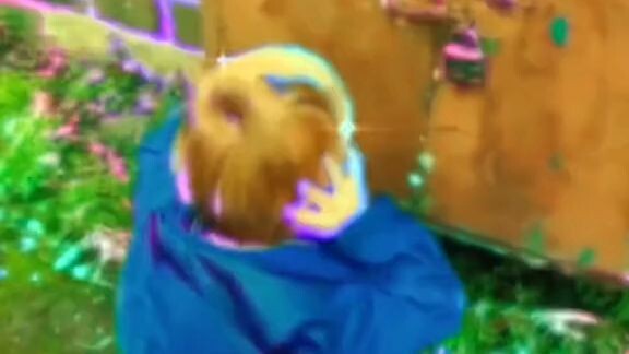 Headphones 🎧 haha