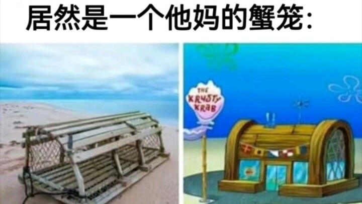 我刚刚才发现蟹堡王实际上居然是一个他妈的蟹笼！？