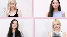 All members are in perfect condition! BLACKPINK×PUBG virtual concert trailer released