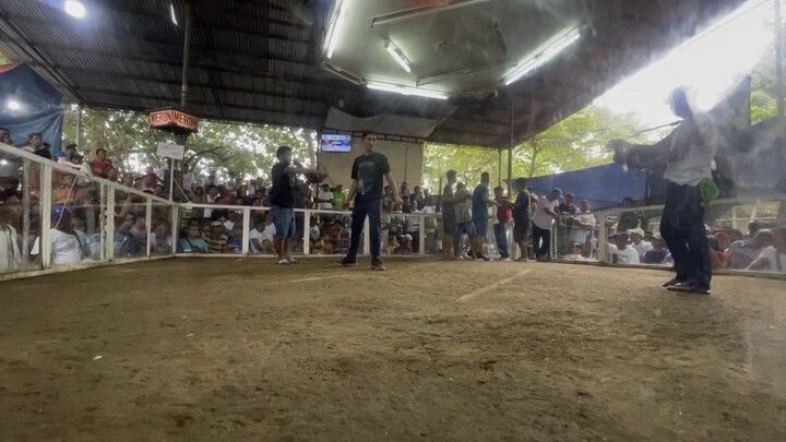 1st fight (2 Hits Ulutan @Pozorrubio Cockpit Arena) Nov 1,2023. Win