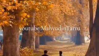 sadar diri umur sudah tidak muda lagi