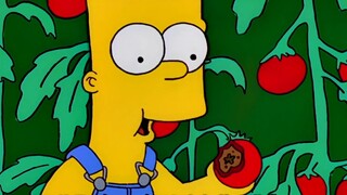 [Revelation] Nuclear fuel vegetable farming, worth $150 million! Nuclear fuel vegetable farming on T