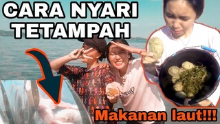 CARA NYARI TETAMPAH MUDAH DAN CEPAT DAPET BANYAK