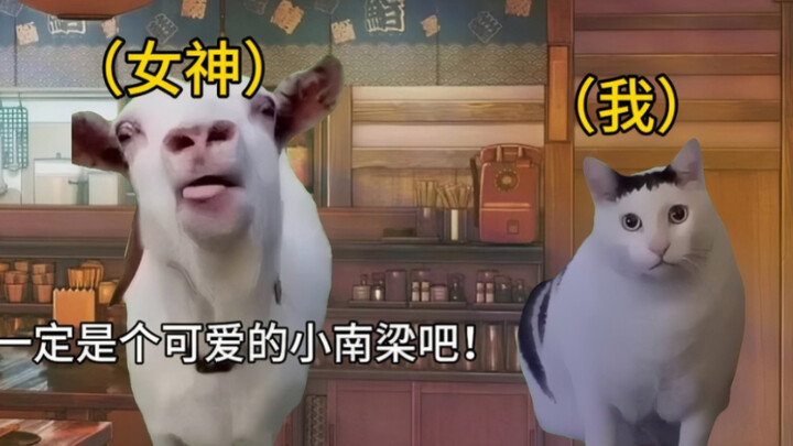 Về việc giọng của tôi quá trong trẻo và cô gái tôi thích lại nghĩ tôi là Tiểu Nam Lượng [cat meme]