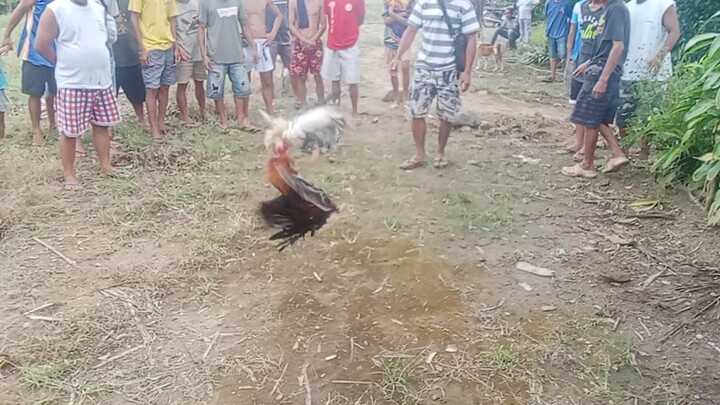kala ko talo na😅