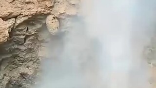 The young guy sure has guts!