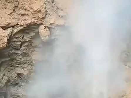 The young guy sure has guts!