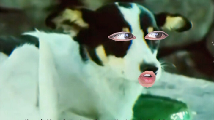 狗子：让你们点化，不是让你们消化