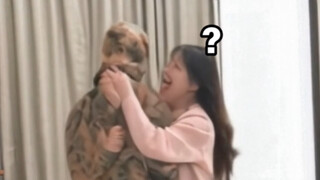 AI你要毁了我吗