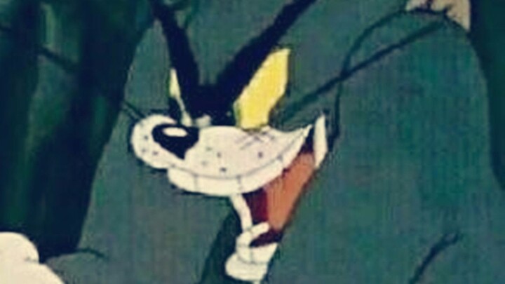 The “Can’t Go a Day Without Watching” Series! Hilarious & Absurd Video Compilation #74