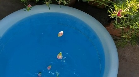 Kỹ năng được đánh thức sau khi bước sang tuổi hai mươi