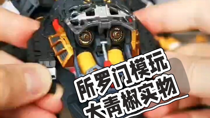 所罗门大青椒实物展示