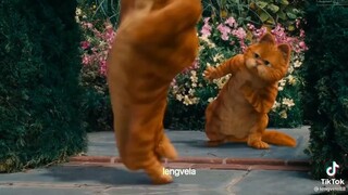 Garfield met her Romeo