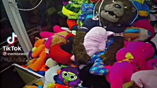 #freddy