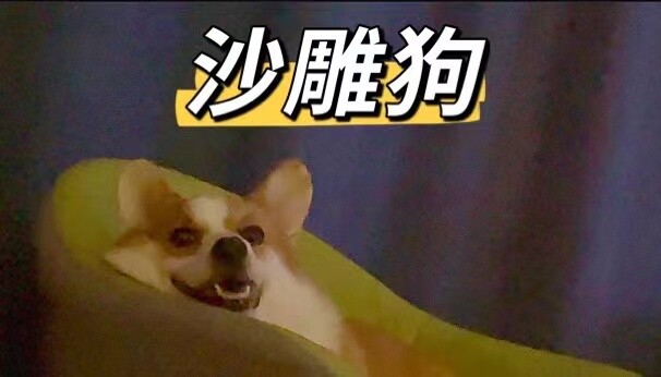 Anjing ini...... membuatku tertawa selama tiga hari tiga malam!