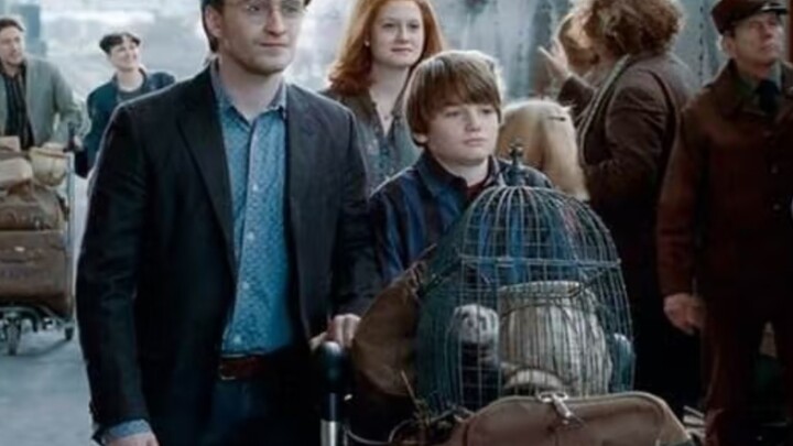 Albus Severus Potter, who was born with a full stack of buffs