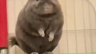 “分享给可爱且有趣的人吧”