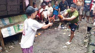 July 27 Alimbuyugin partida kalas vs Gold