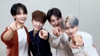 【SEVENTEEN】🐶🐱เวอร์ชั่นห้าช็อตหวานจริงๆ