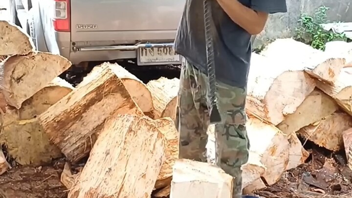 เลี้ยงหนอนซิมีด้วยต้นปาล์ม!