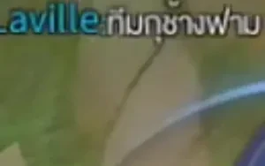 อยากเจอมากช้างฟามROV