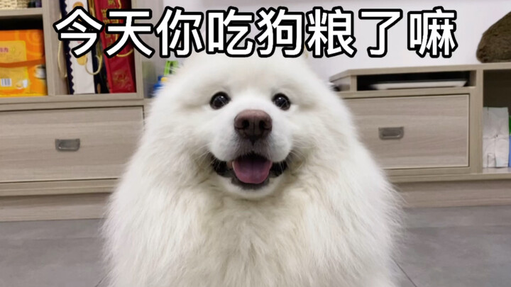 Did everyone get their fill of yesterday’s “dog food”?