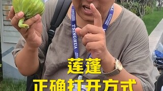 Summer is here—so it turns out you've all been wasting your lotus pods! Hit like and subscribe now!