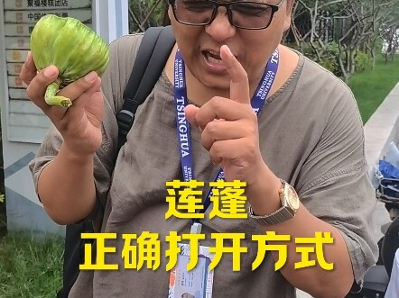 夏天到了，原来你们的莲蓬都浪费了，赶紧点赞，关注