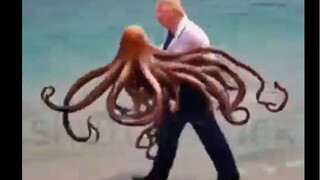 ซานค่าดิ่งฮวบ! คลิปที่สร้างโดย AI แสดงทรัมป์จับและปรุงปลาหมึก