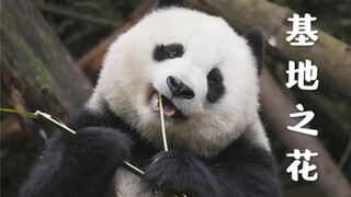 Beichuan: At that moment, I truly thought I'd never see the sun rise again.