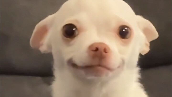 ตุ๊กตาไม่รีบ